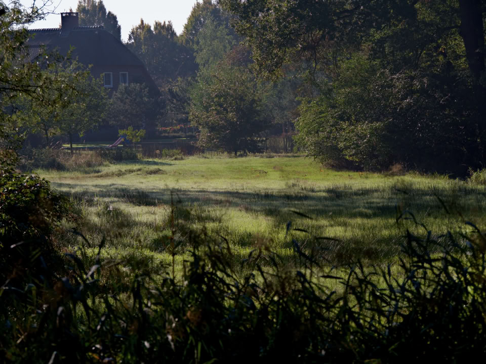 Fraai doorkijkje naar een landgoed