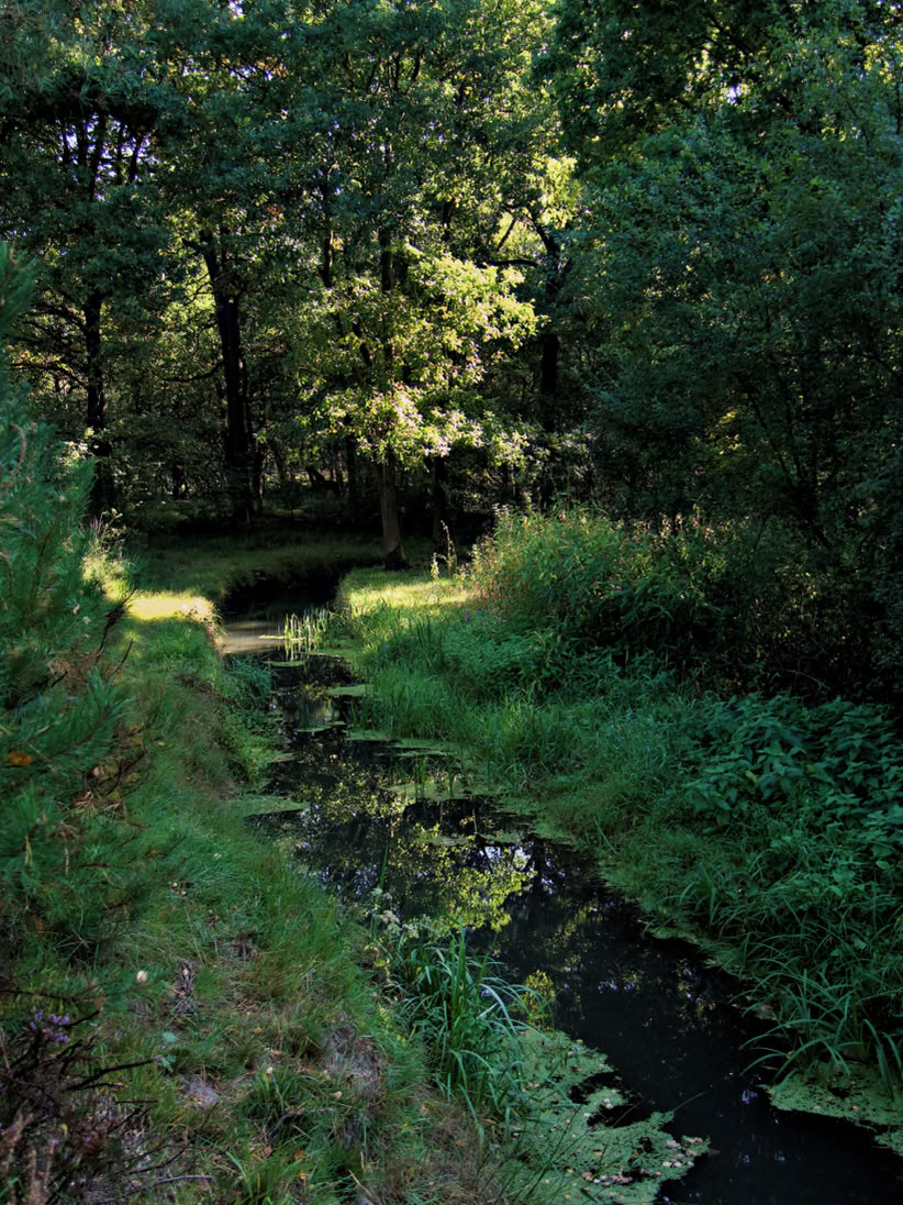 © GB-2025