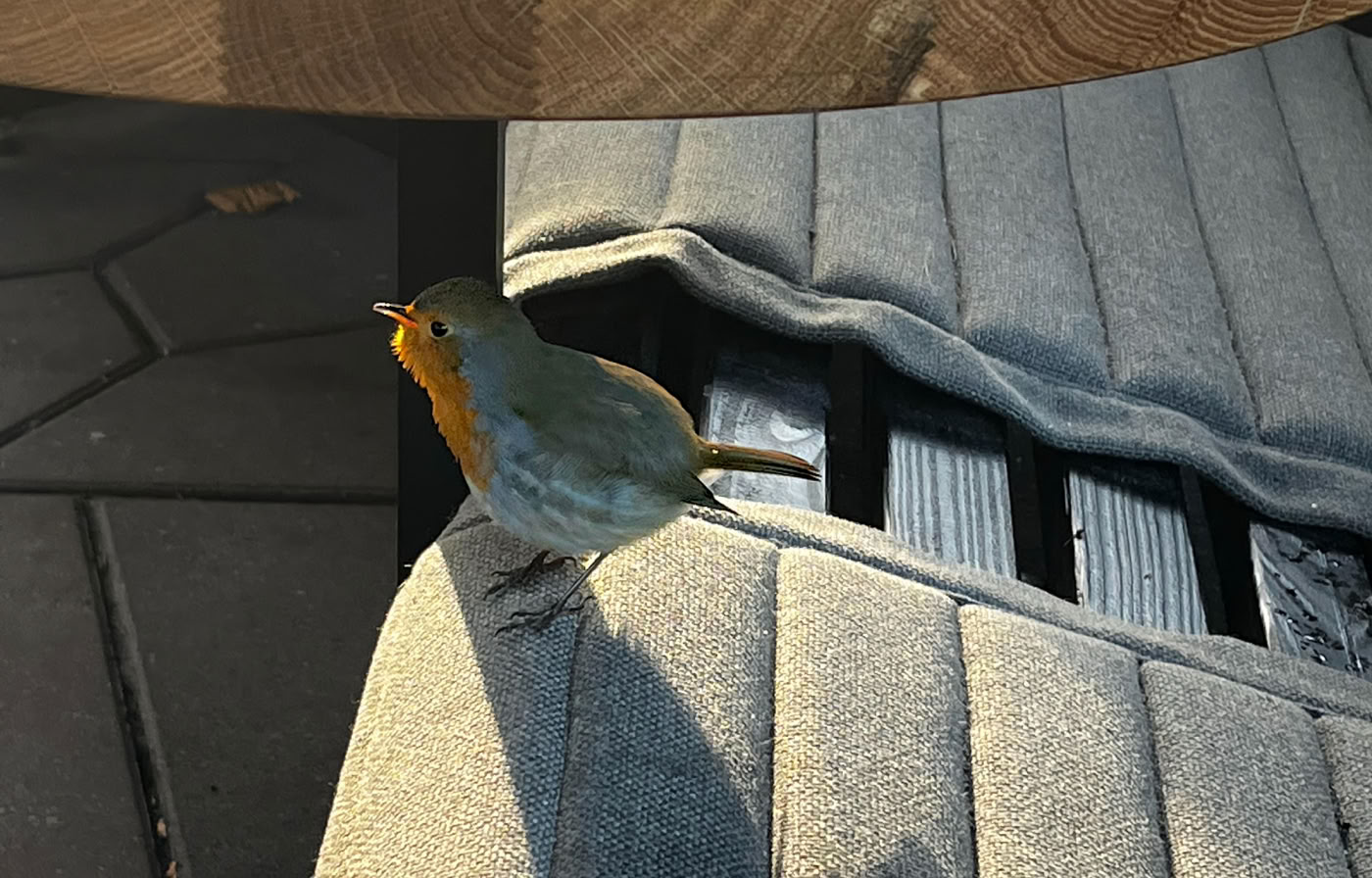 Op een terras bij Groot Speijck in de Oisterwijkse Bossen en gezellig bezoek.