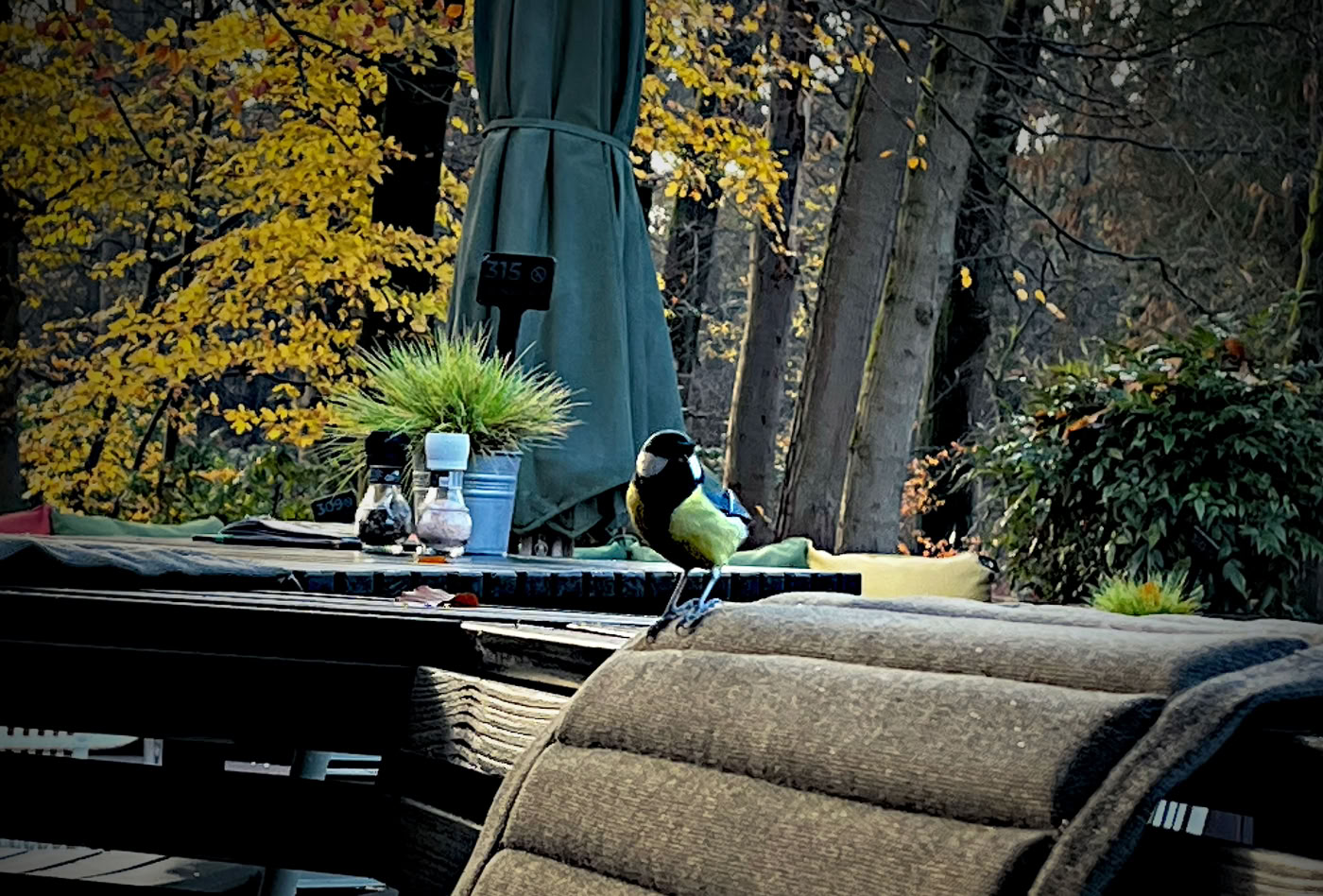 Op een terras bij Groot Speijck in de Oisterwijkse Bossen en gezellig bezoek.