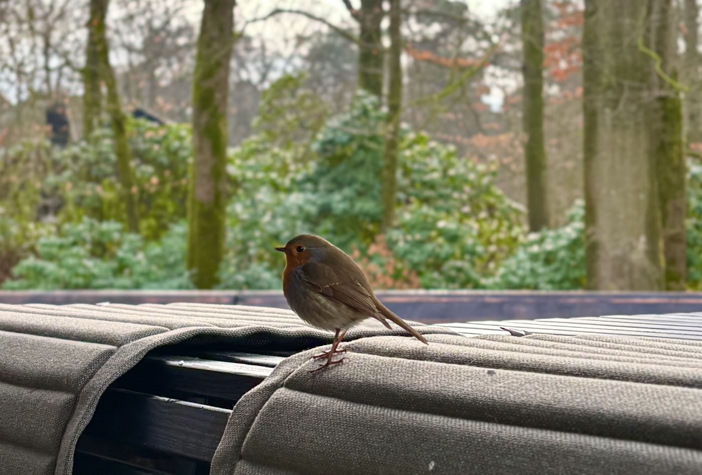 Op een terras bij Groot Speijck in de Oisterwijkse Bossen en gezellig bezoek.