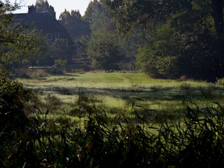 Fraai doorkijkje naar een landgoed