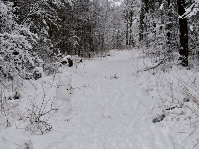 fraai bruggetje over de Rosep